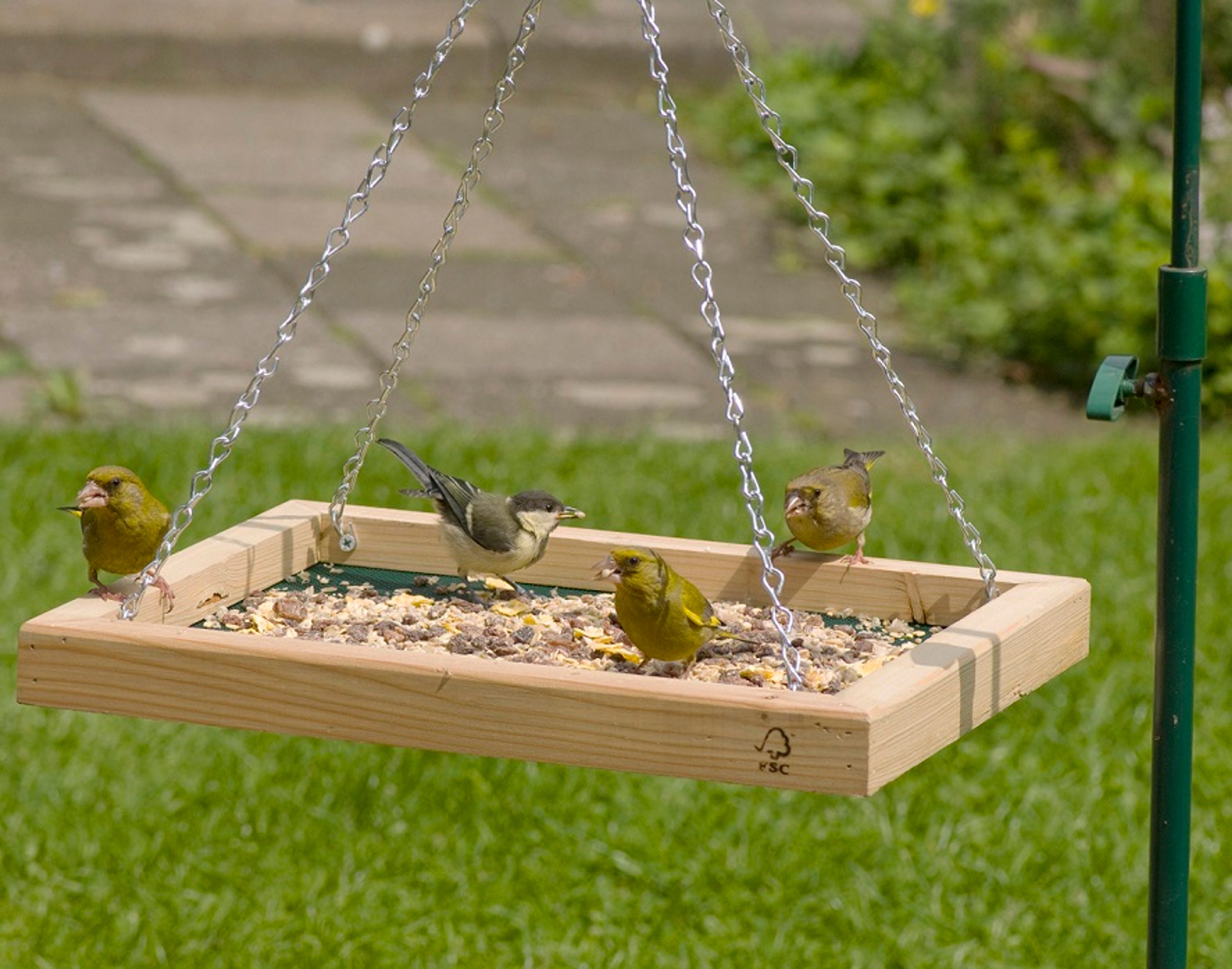 Hängender Futtertisch | CJ Wildlife