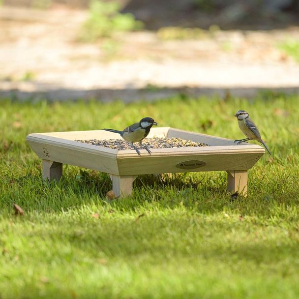 Bird Feeding Table & Seed Mix Starter Bundle
