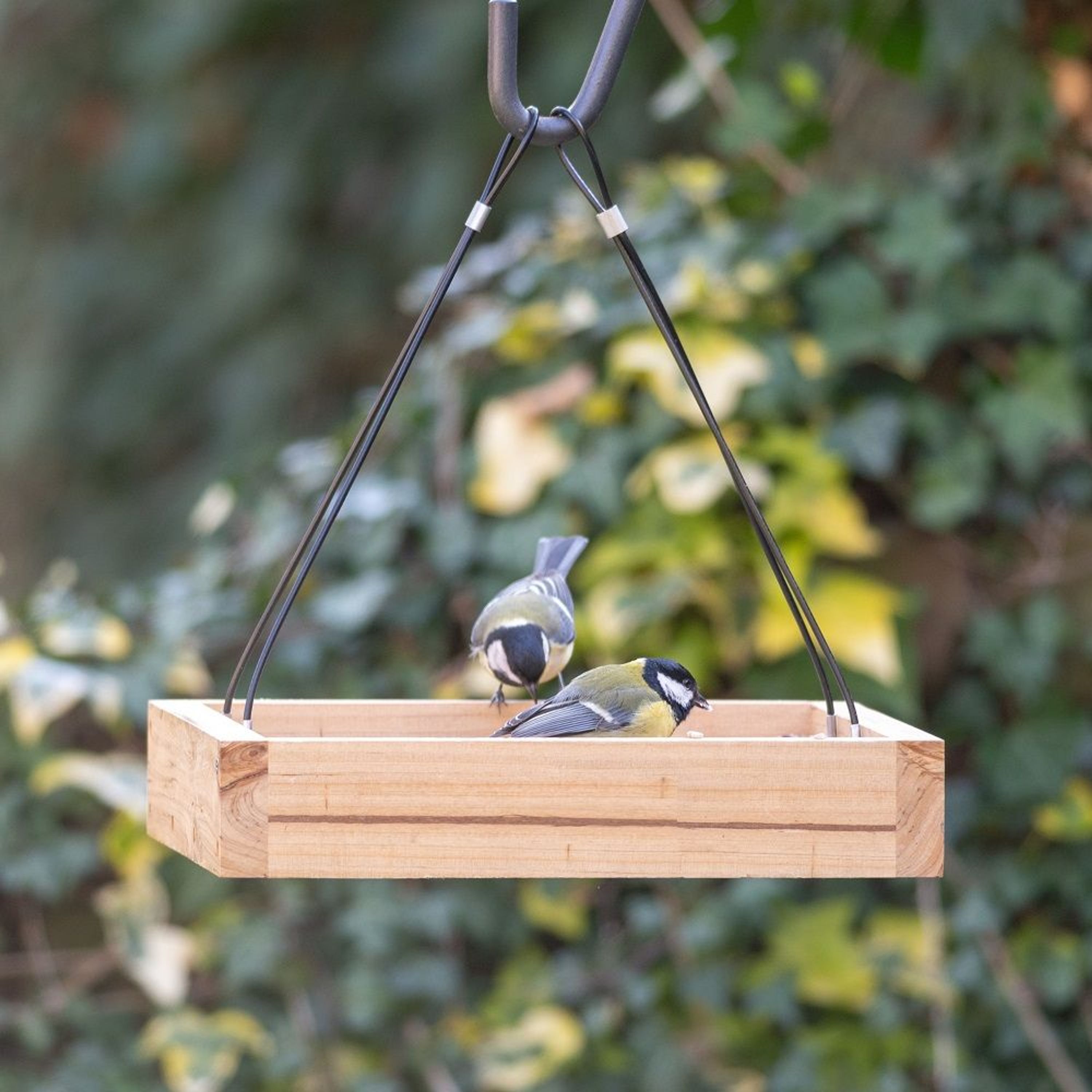 Hangende Voedertafel