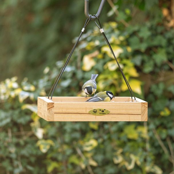 Natuurpunt Hangende voedertafel Aarhus