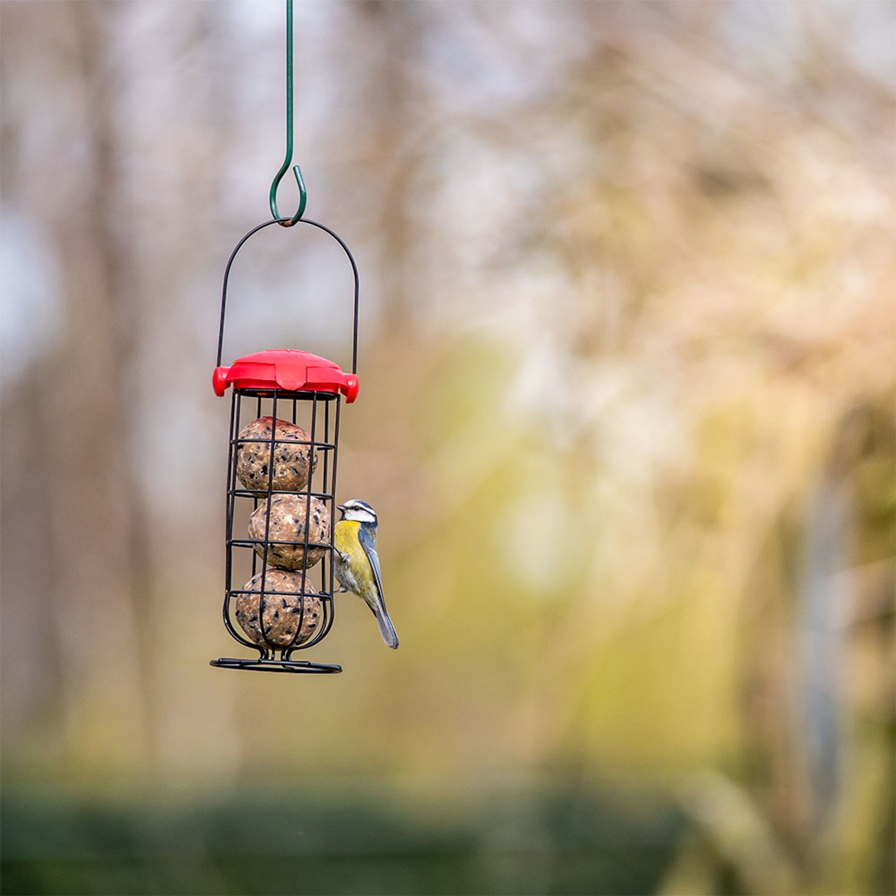 Vivara Kids Meisenknödel-Säule – CJ Wildlife
