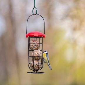 National Trust Kids Fat Ball Feeder EasyFlip