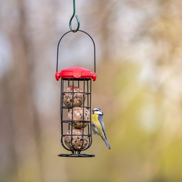 National Trust Kids Fat Ball Feeder EasyFlip