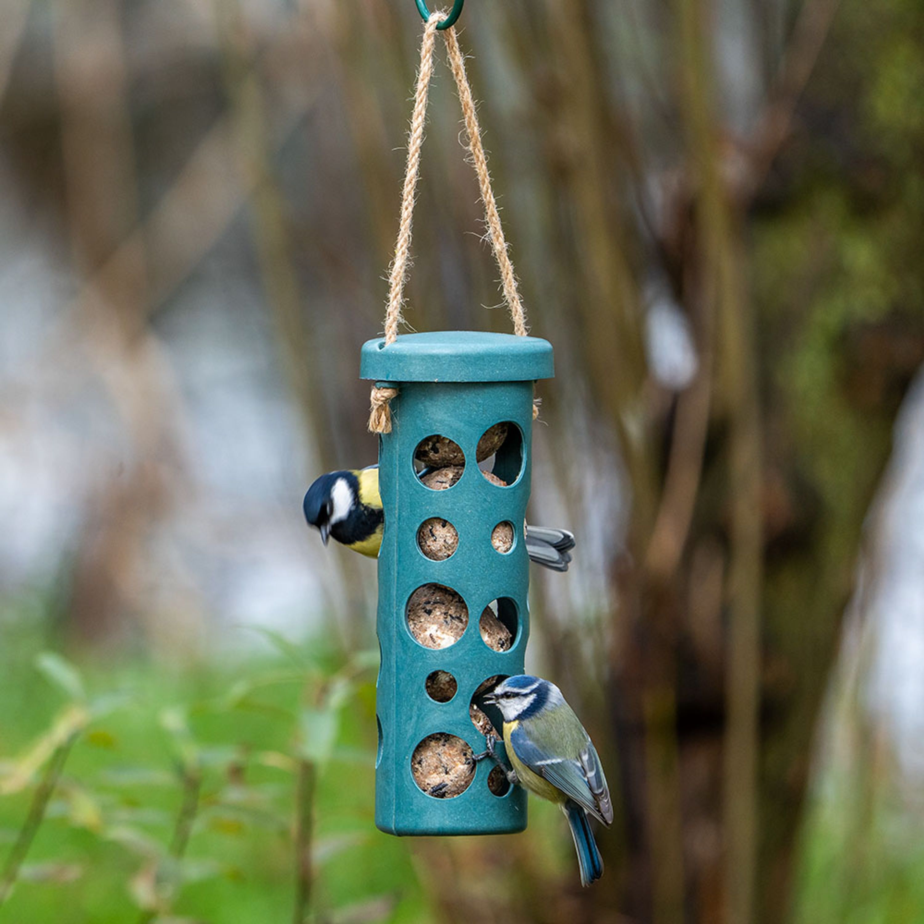 Meisenknödel-Halter Rom - blau | CJ Wildlife – CJ Wildlife