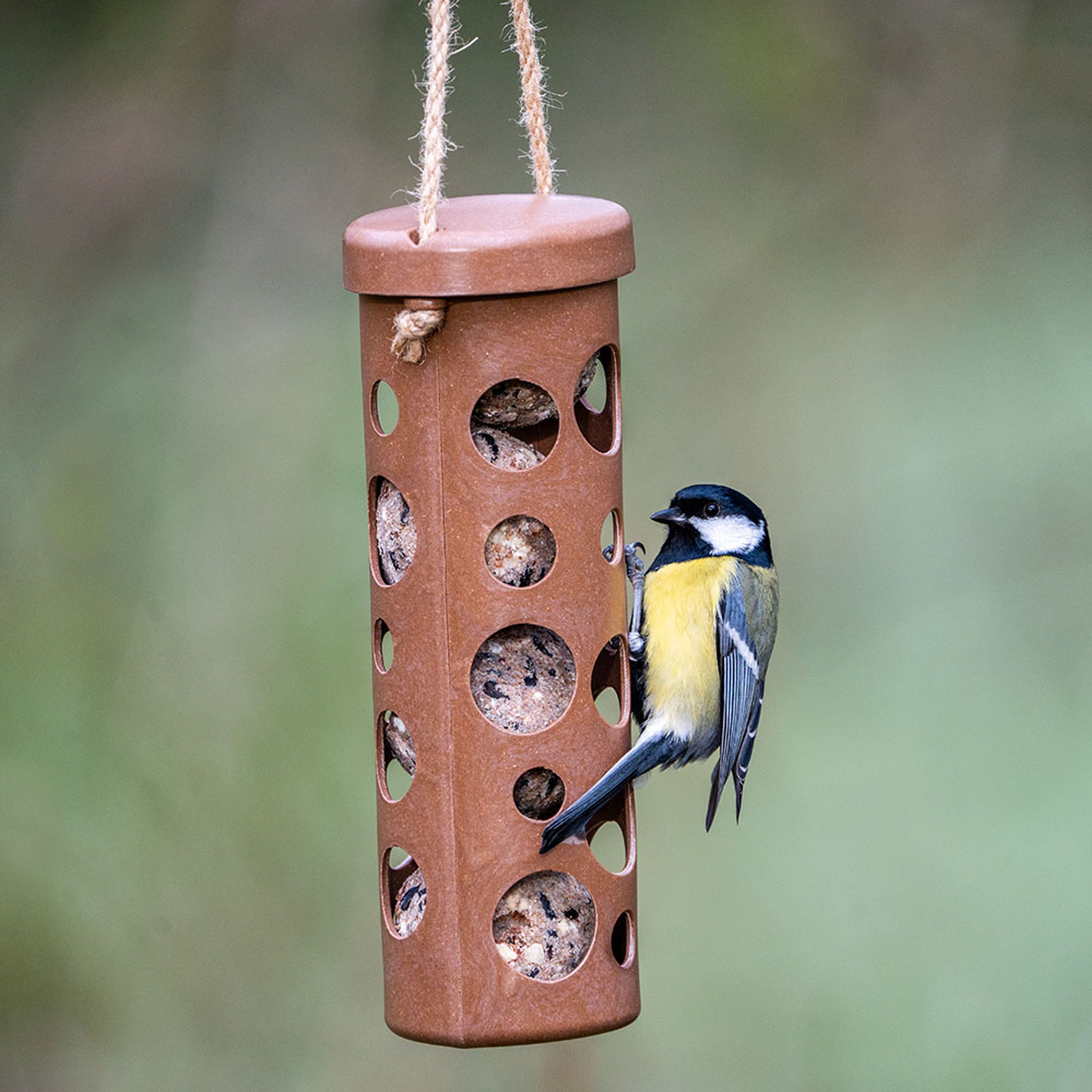 Meisenknödel-Halter Rom - braun | CJ Wildlife