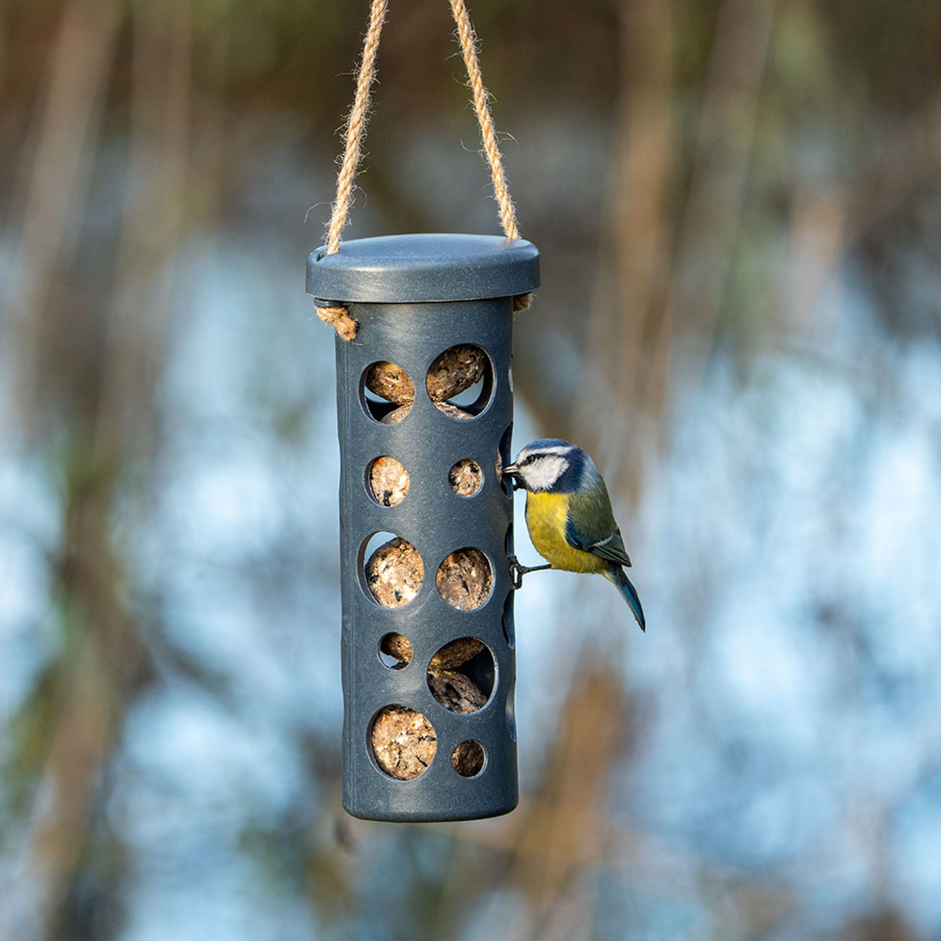 Meisenknödel-Halter Rom - grau | CJ Wildlife – CJ Wildlife