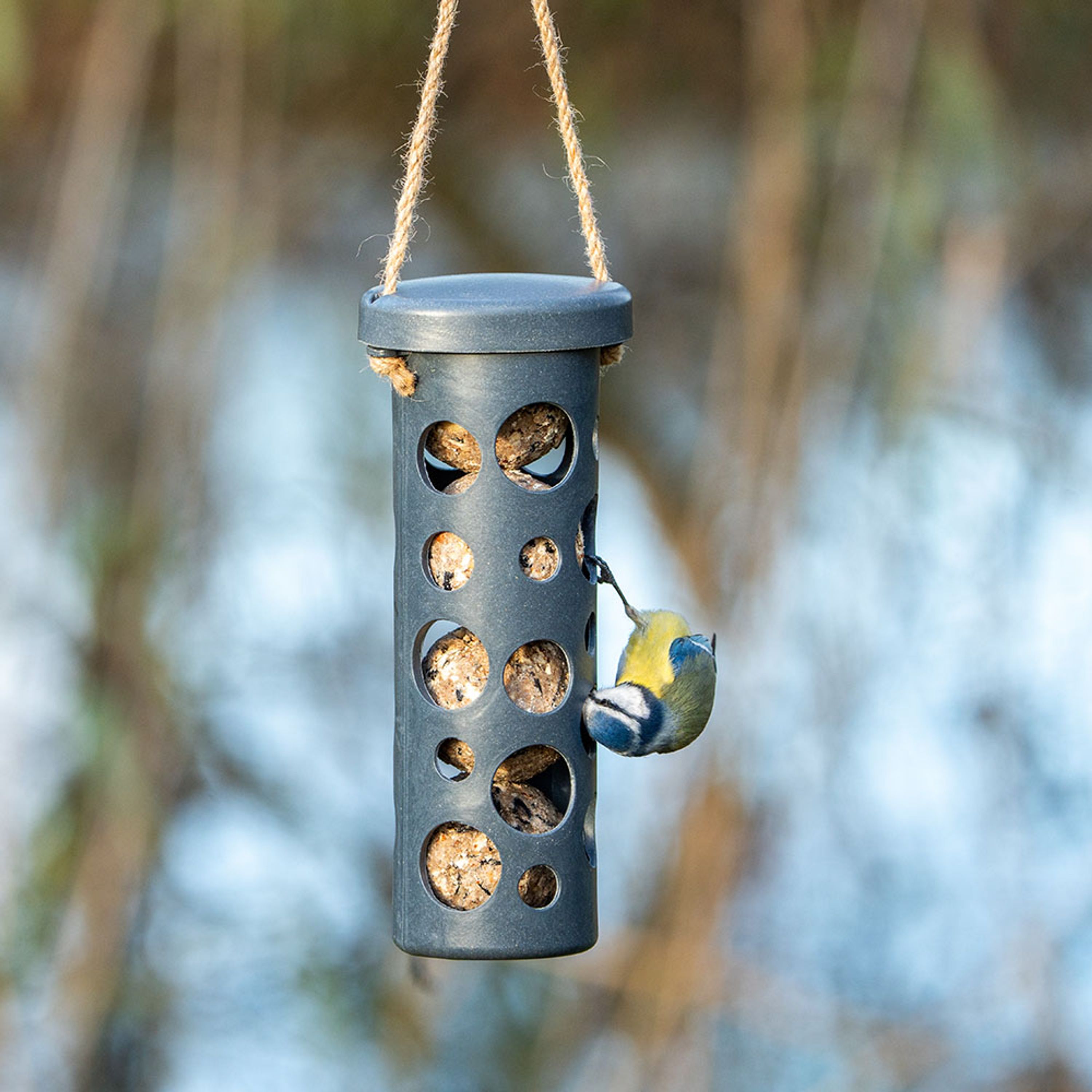 Meisenknödel-Halter Rom - grau | CJ Wildlife
