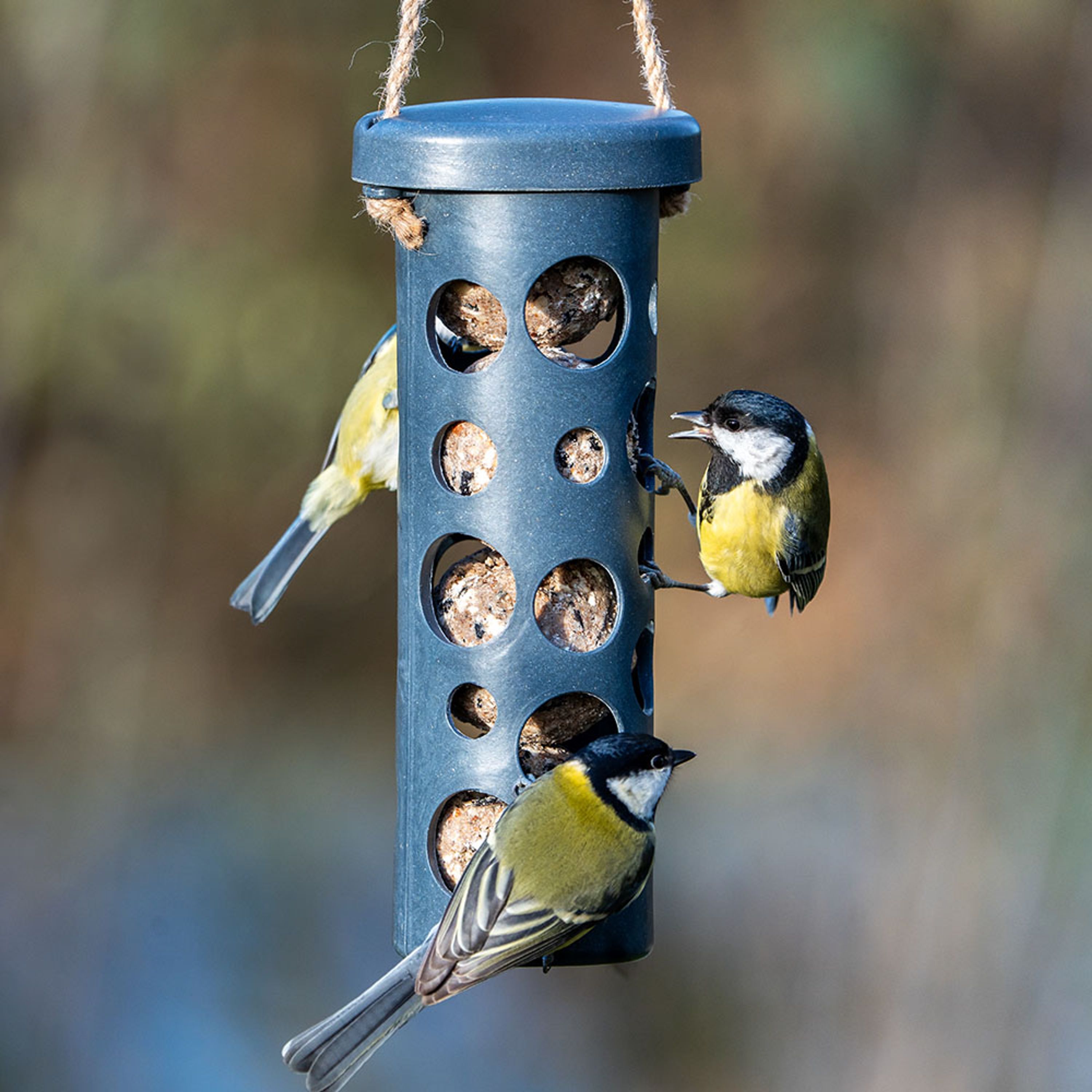 Meisenknödel-Halter Rom - grau | CJ Wildlife