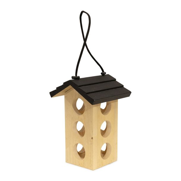 Vogelspotcast Vetbolhouder Ameland