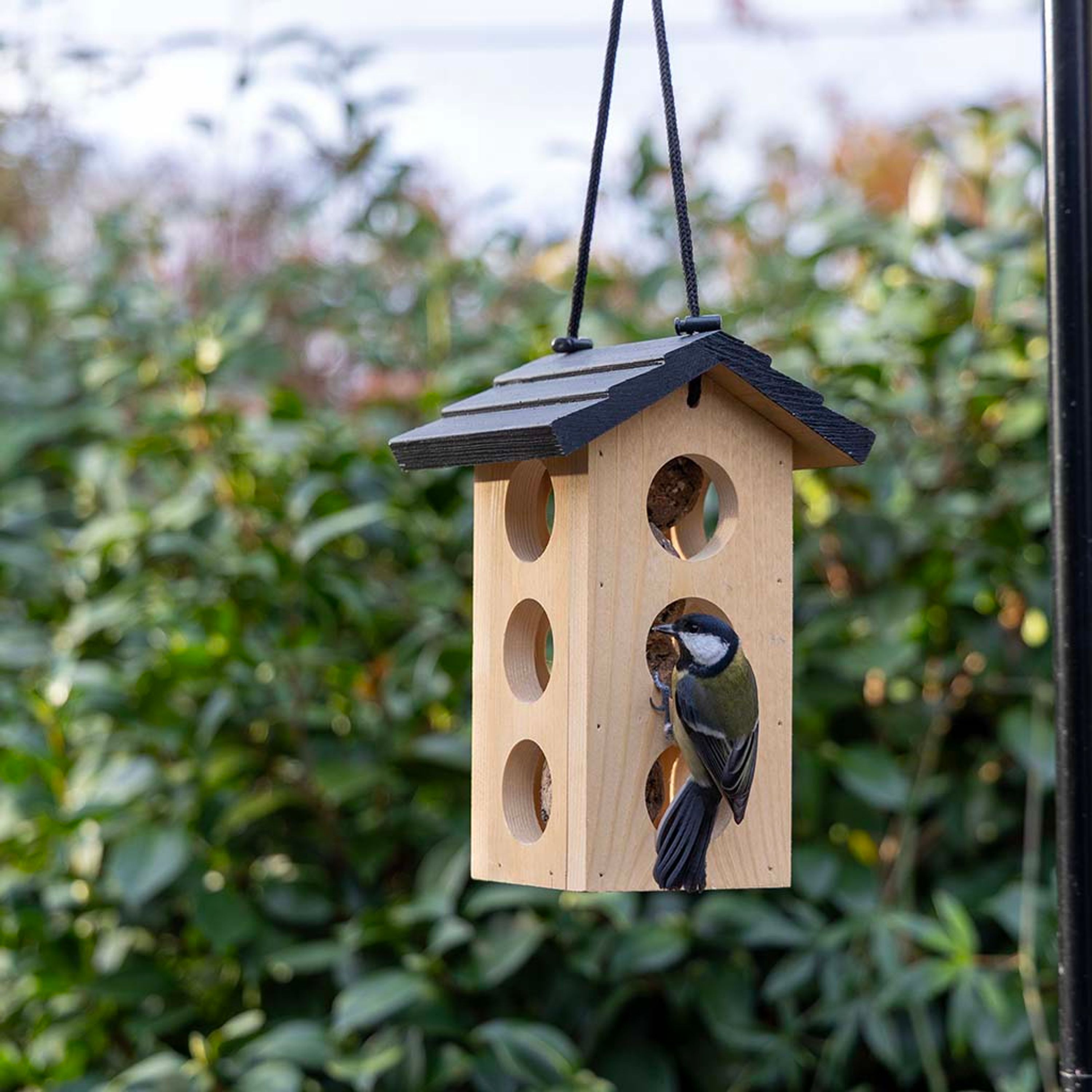 Vogelspotcast Vetbolhouder Ameland | Houten voederhuisjes | Geschikt voor: zwartkop, pimpelmees, zwa