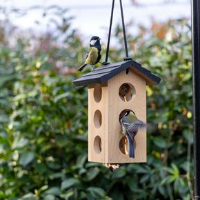 Vogelspotcast-bundel vetbolhouder met vetbollen