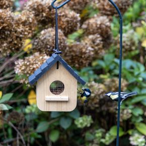 Vogelspotcast Pindavoederhuis Maashorst