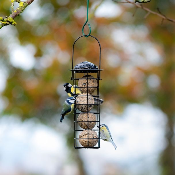 Meisenknödel-Halter „Bremen“ Schwarz