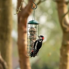 National Trust Upright Fat Ball Bird Feeder