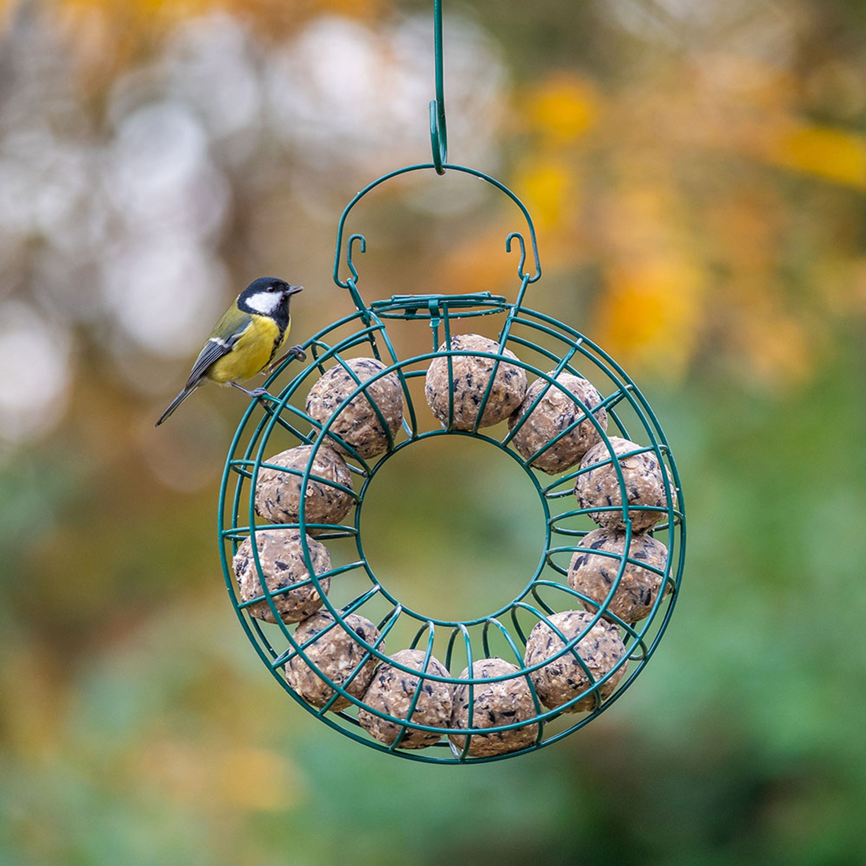 Comparer les prix de Couronne pour boules de graisse | Mangeoires pour boules de graisse | Mangeoires pour oiseaux | Vivara