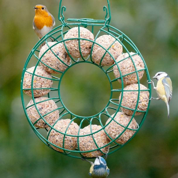 Fat Ball Feeding Ring Large