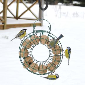 Couronne pour boules de graisse (pour 10 boules de graisse) 
