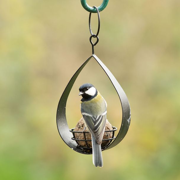 Canberra Fat Ball Bird Feeder Black