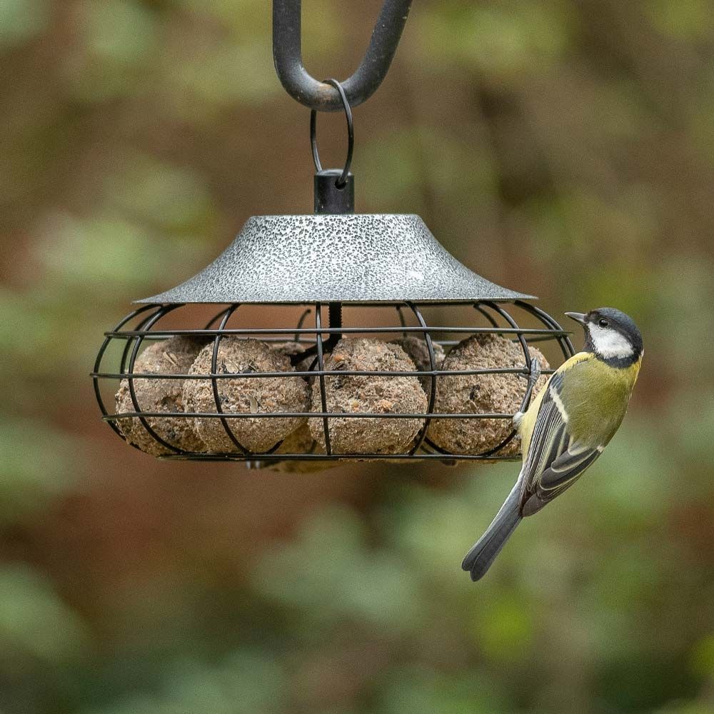 MAZUR International Vogelhuis, weerbestendig, van hout, vogelvoederhuis, voederhuis, voederstation voor wilde vogels, vogelvoederhuis om neer te zetten voor de tuin, balkon, KL4-NP, bruin