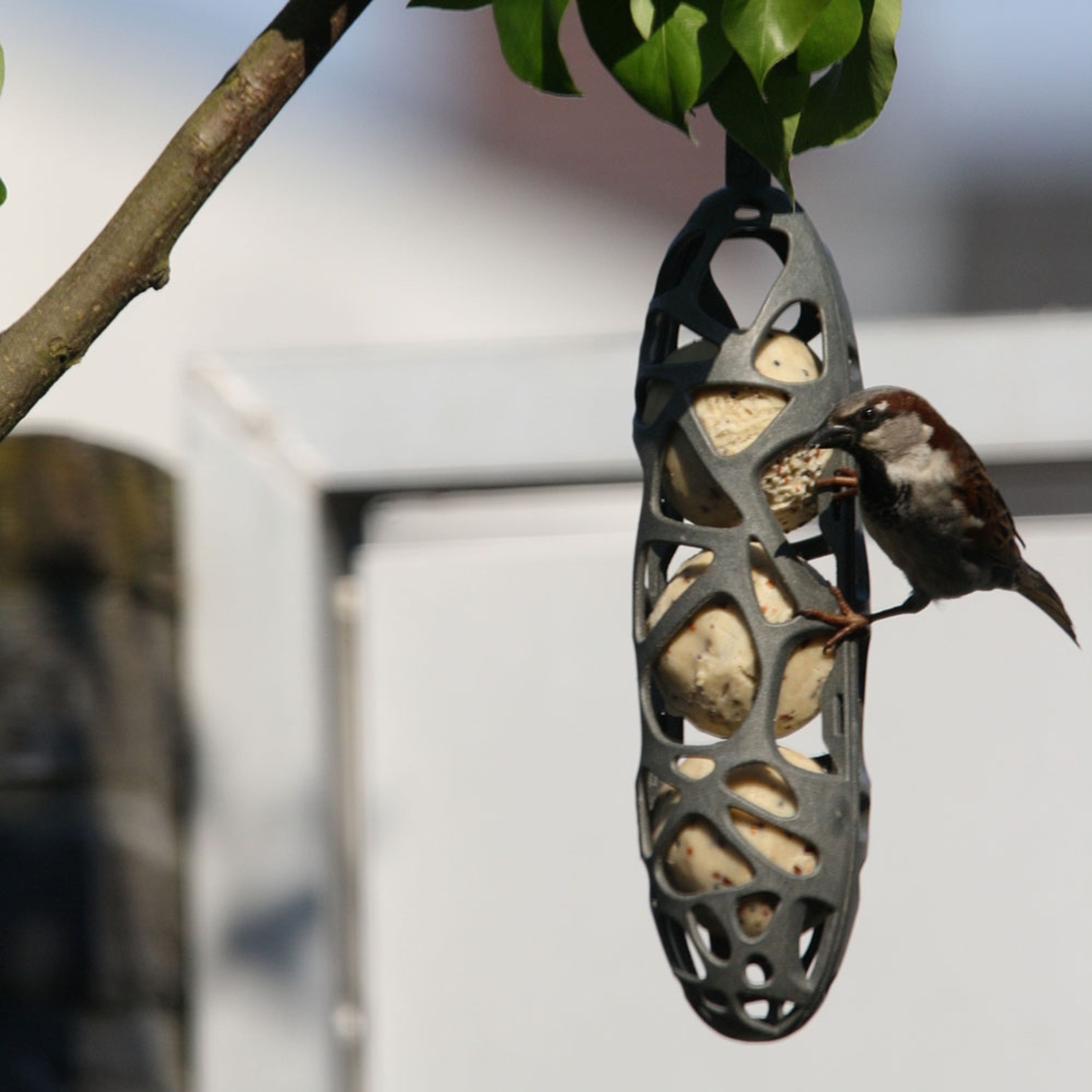 SingingFriend Energierollen- oder Meisenknödel-Halter „Sam“ | SingingFriend