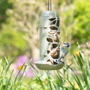 Tara Meisenknödelhalter