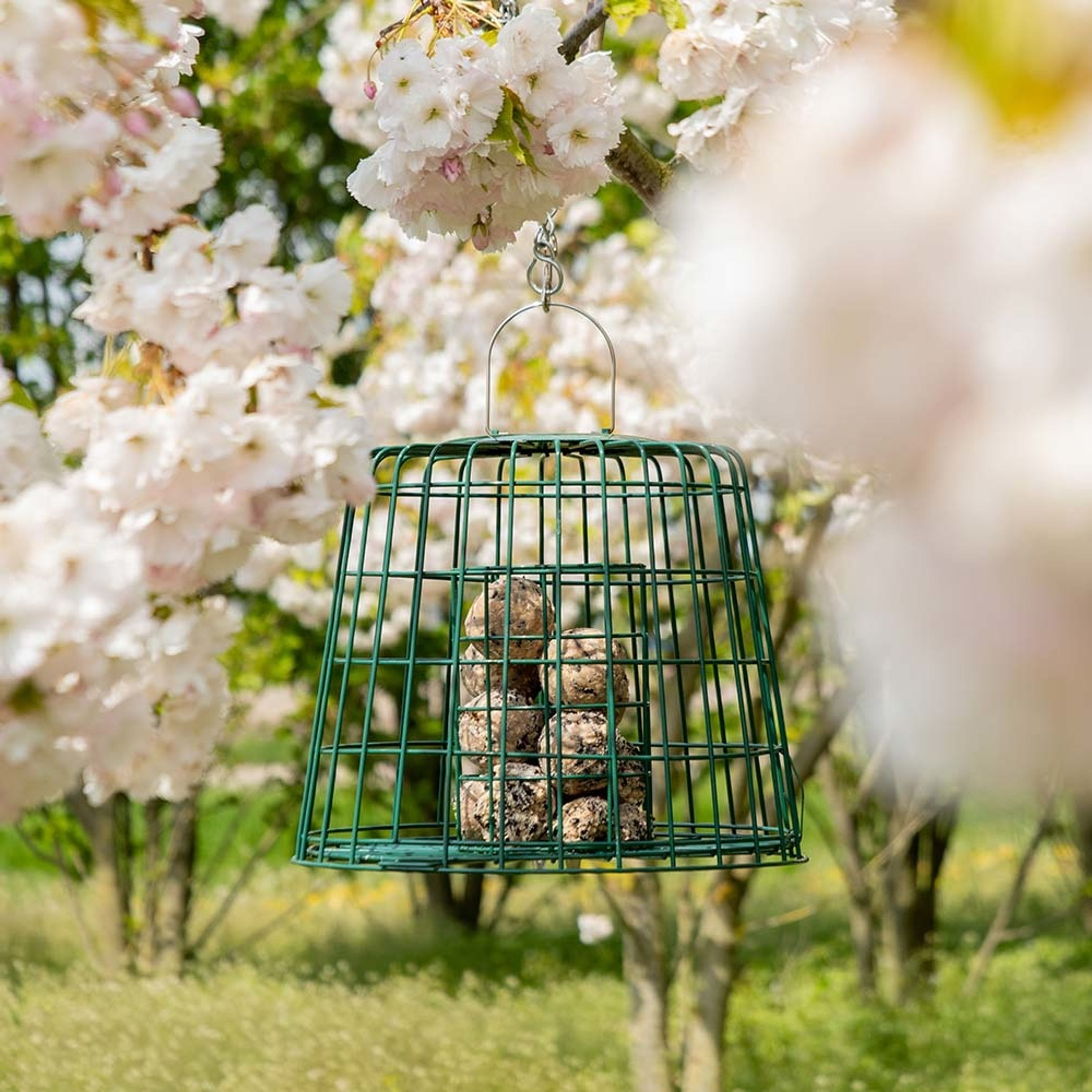 Multi-Schutzkäfig | CJ Wildlife