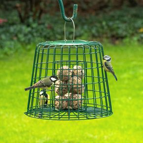Guardian Caged Suet & Fat Ball Feeder