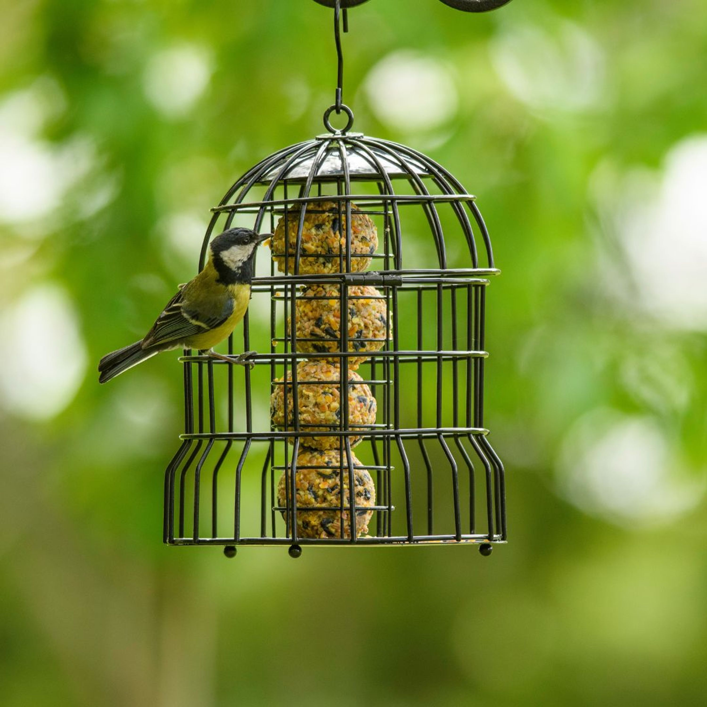 Meisenknödel-Halter mit Schutzkäfig "Milan" | CJ Wildlife