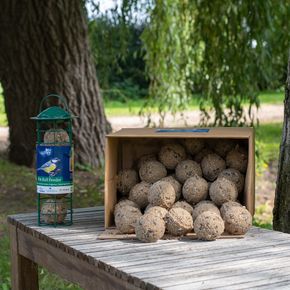 Box of 50 Fat Balls & Feeder Starter Bundle