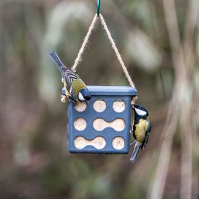 Rome Fat Square Feeder - Anthracite