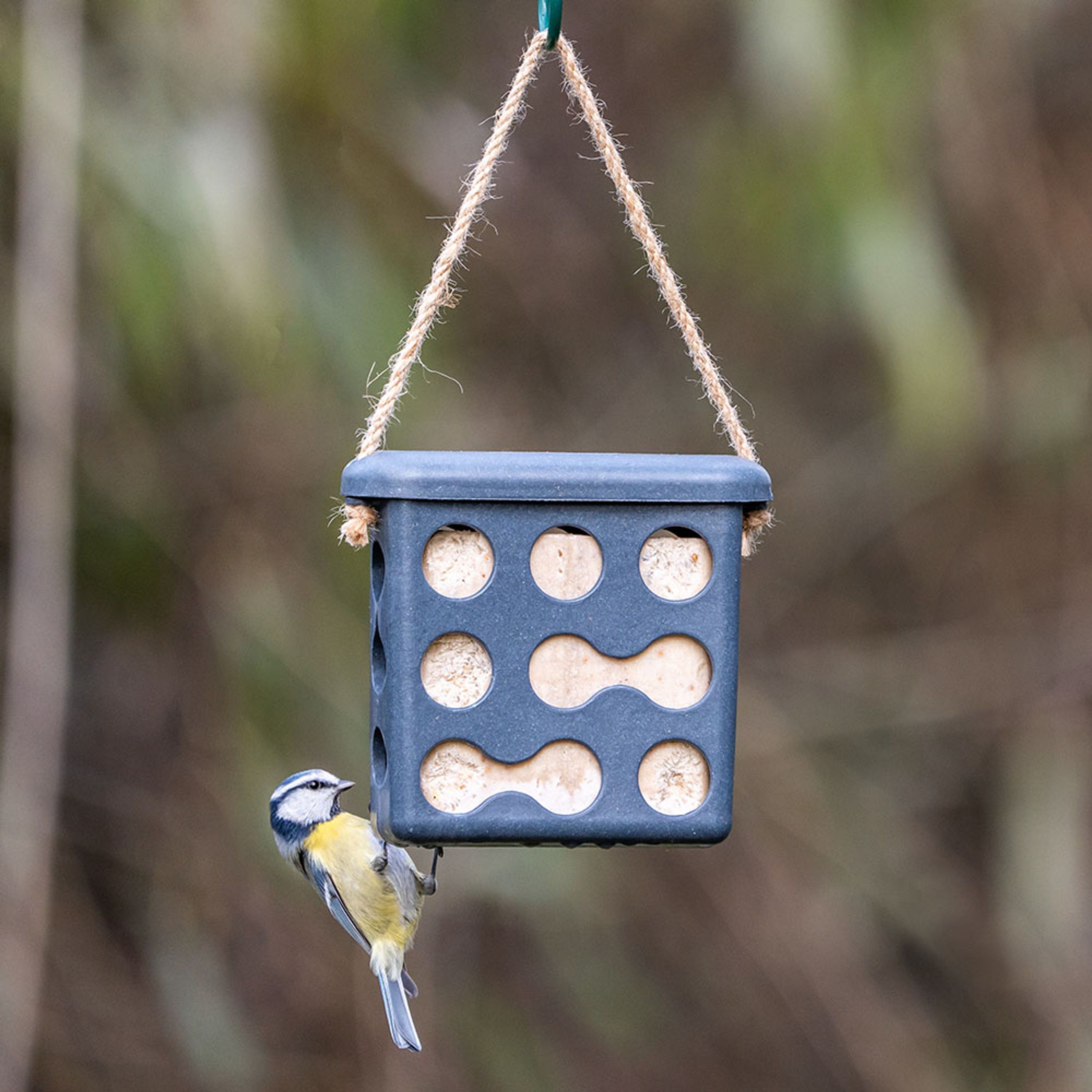 Energieblockhalter Rom - grau | CJ Wildlife