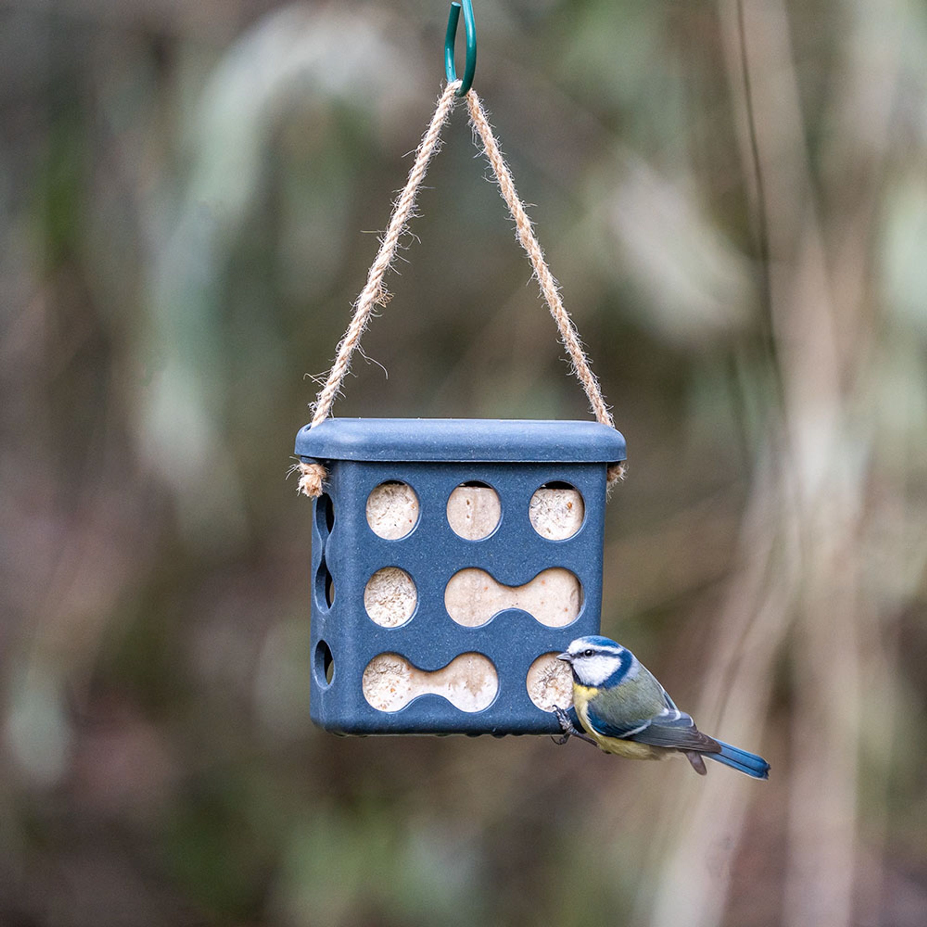 Energieblockhalter Rom - grau | CJ Wildlife