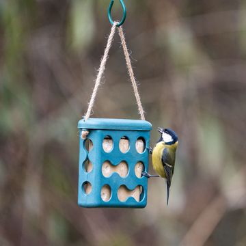 Energieblockhalter Rom - blau