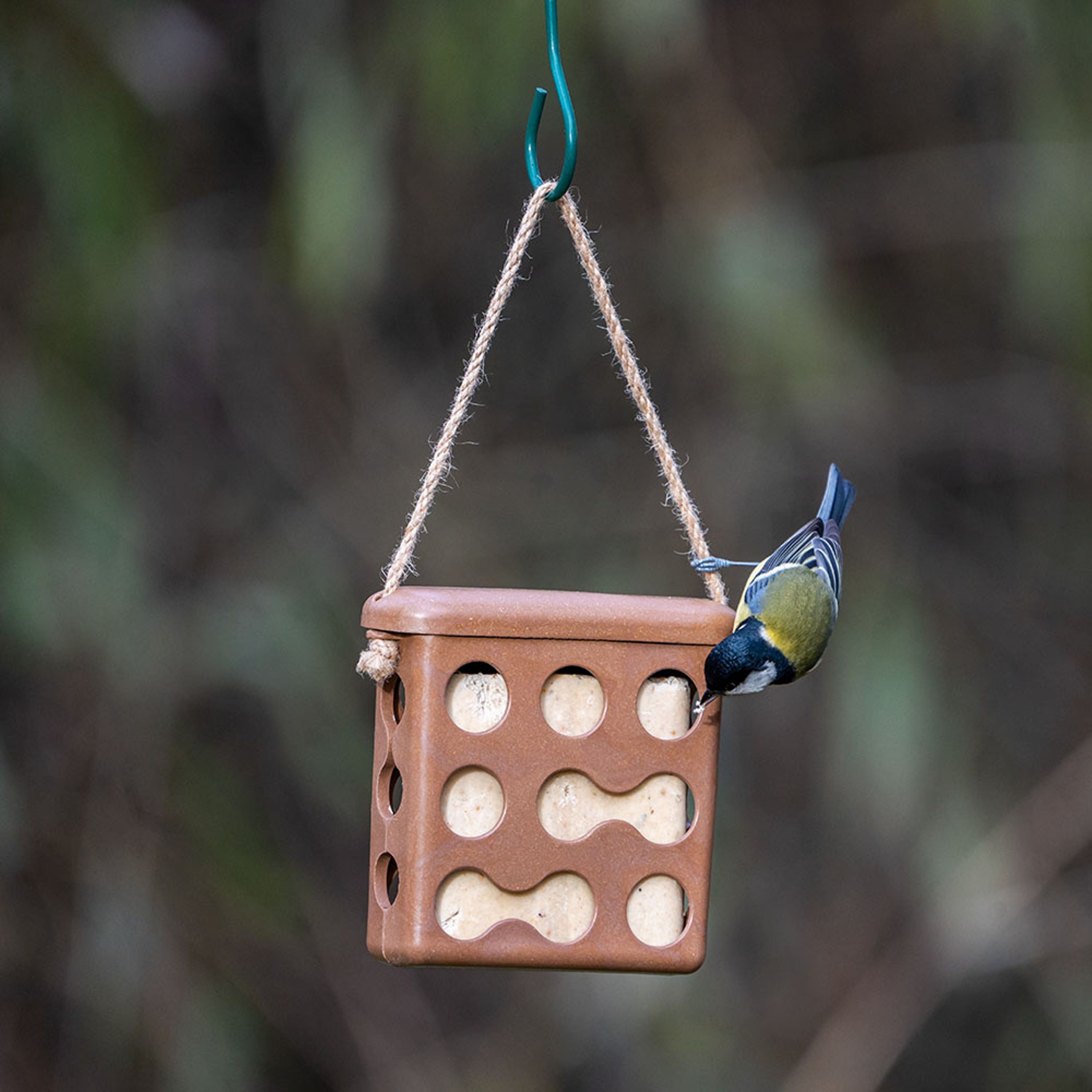 Comparer les prix de Mangeoire pour bloc aux cacahuètes Rome - brun | CJ Wildlife