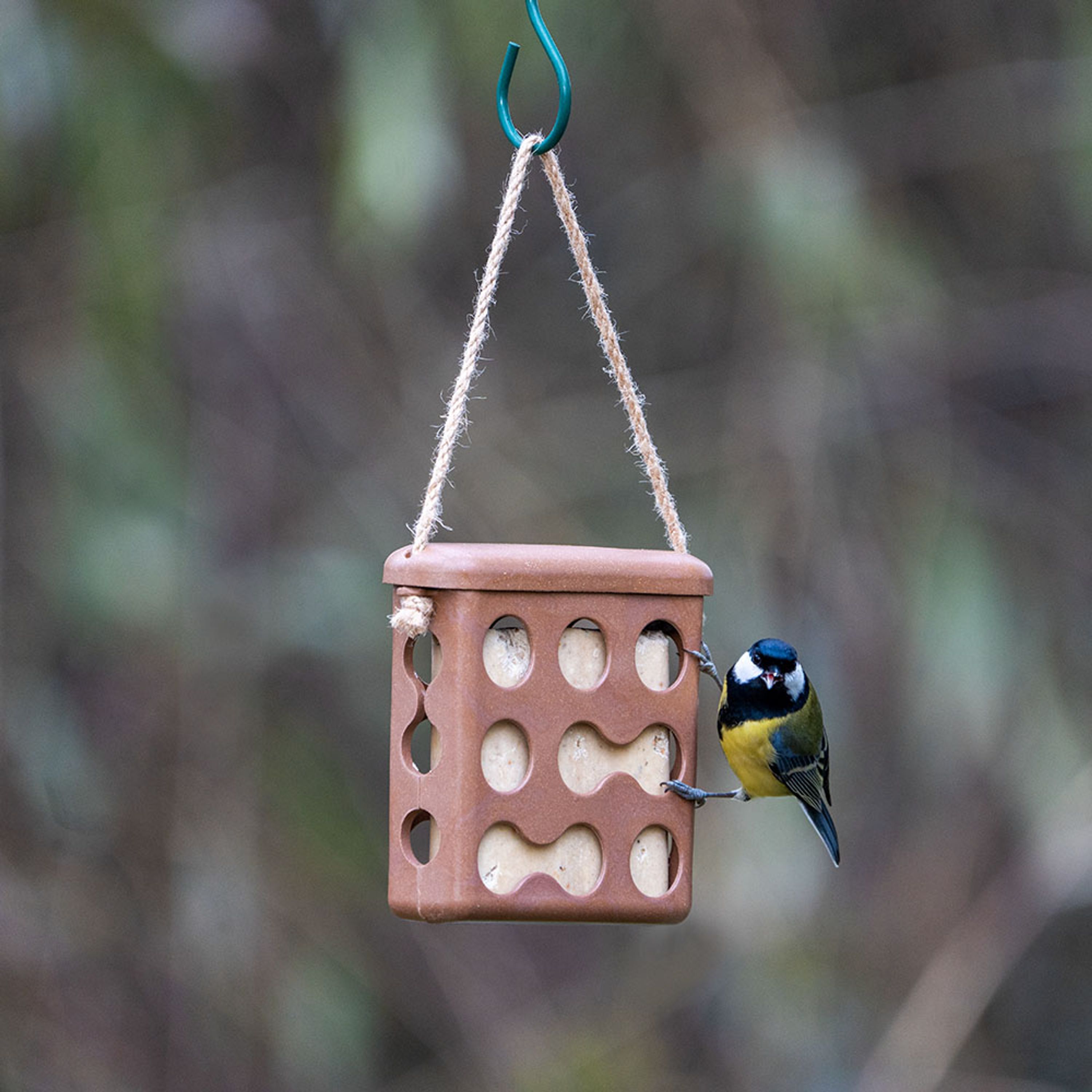 Energieblockhalter Rom - braun | CJ Wildlife