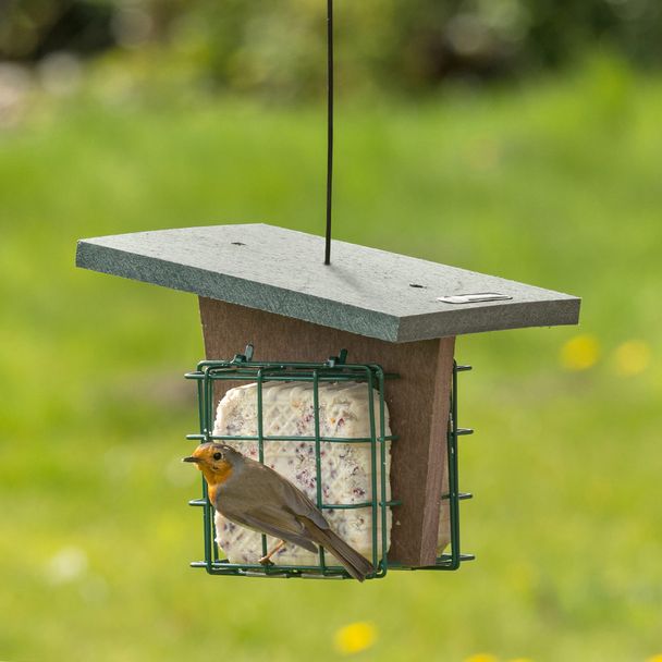 Monviso Eco Double Suet Block Bird Feeder