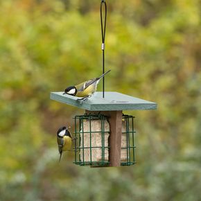 Monviso Eco Double Suet Block Bird Feeder