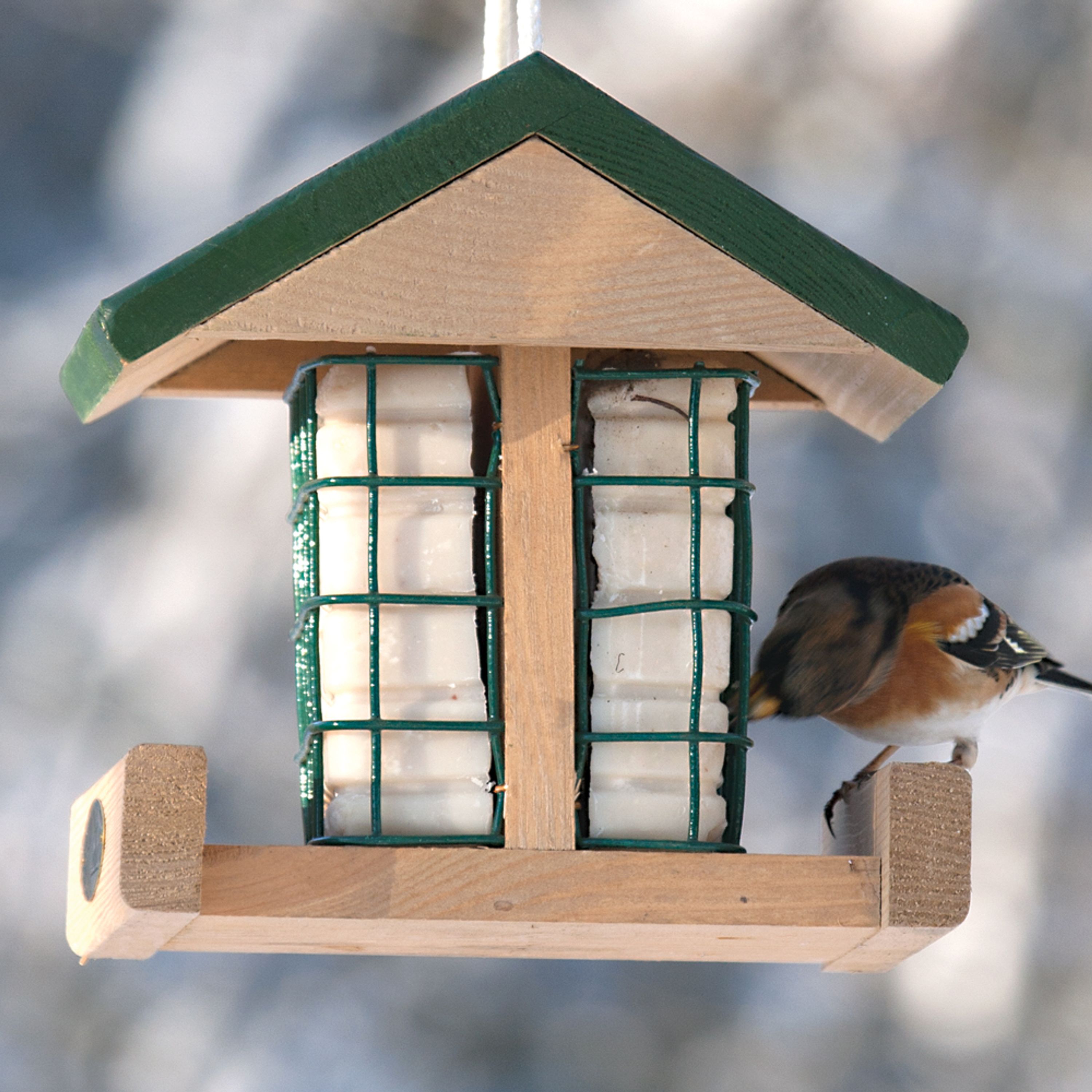 Futterhaus „Dresden“ | CJ Wildlife