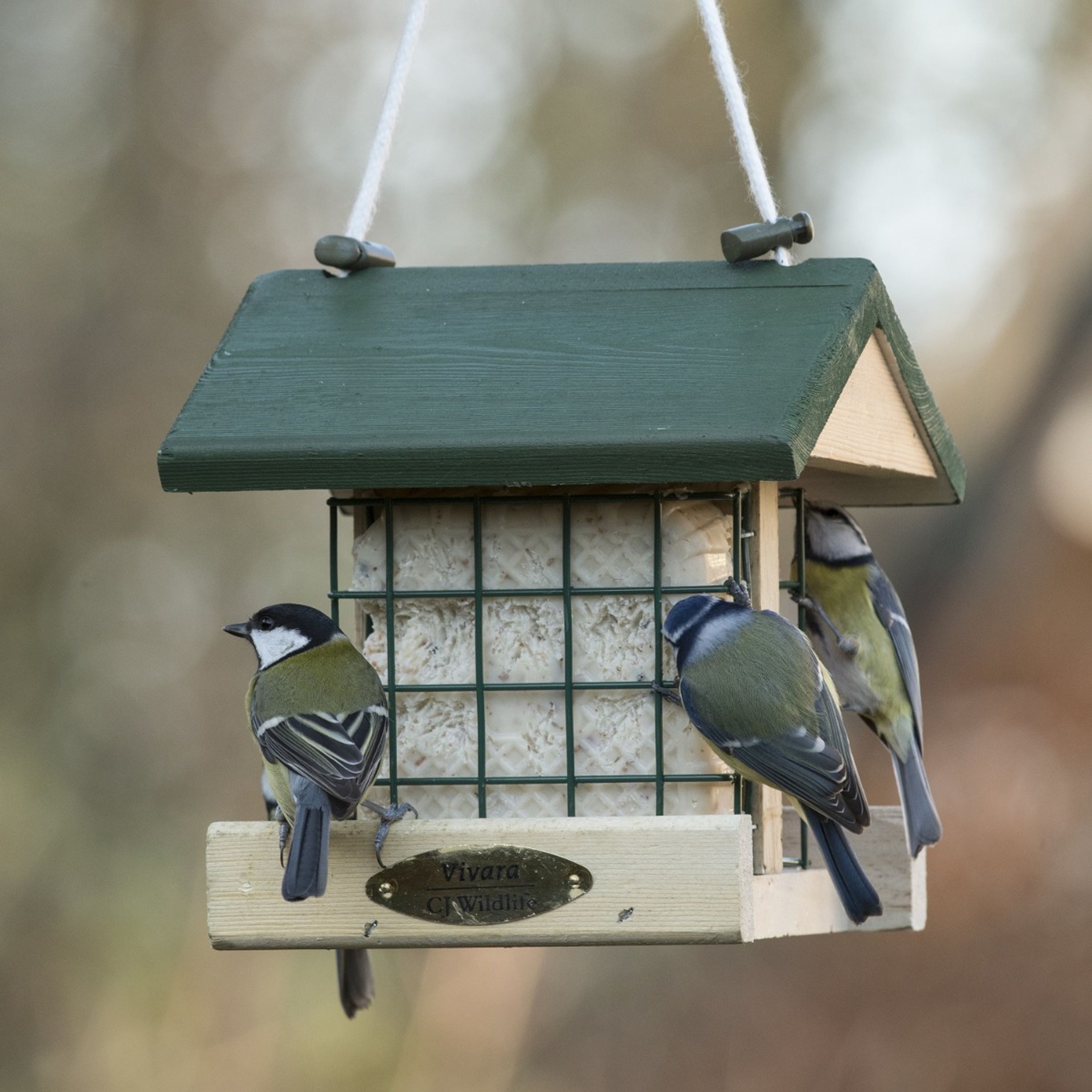 Futterhaus „Dresden“ | CJ Wildlife