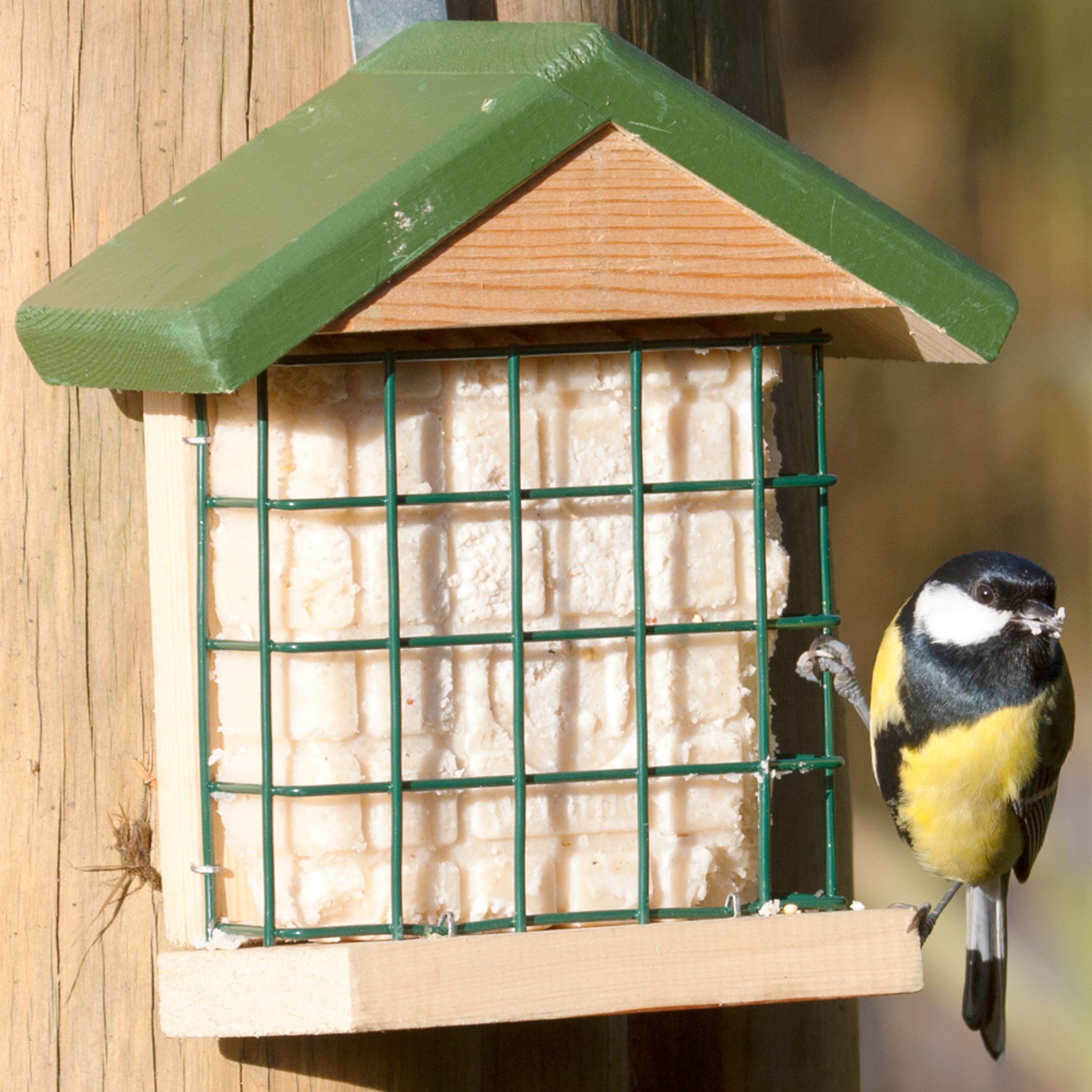 Futterhaus „Augsburg“ | CJ Wildlife