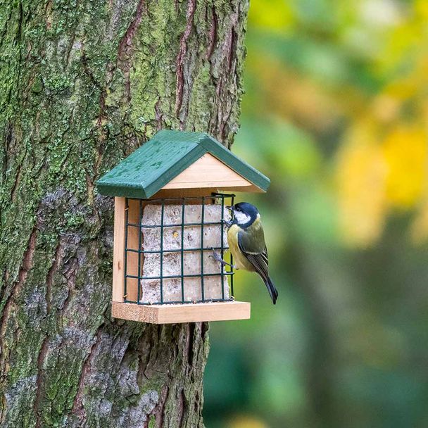 BirdLife Österreich Energieblock-Futterhaus „Linz“