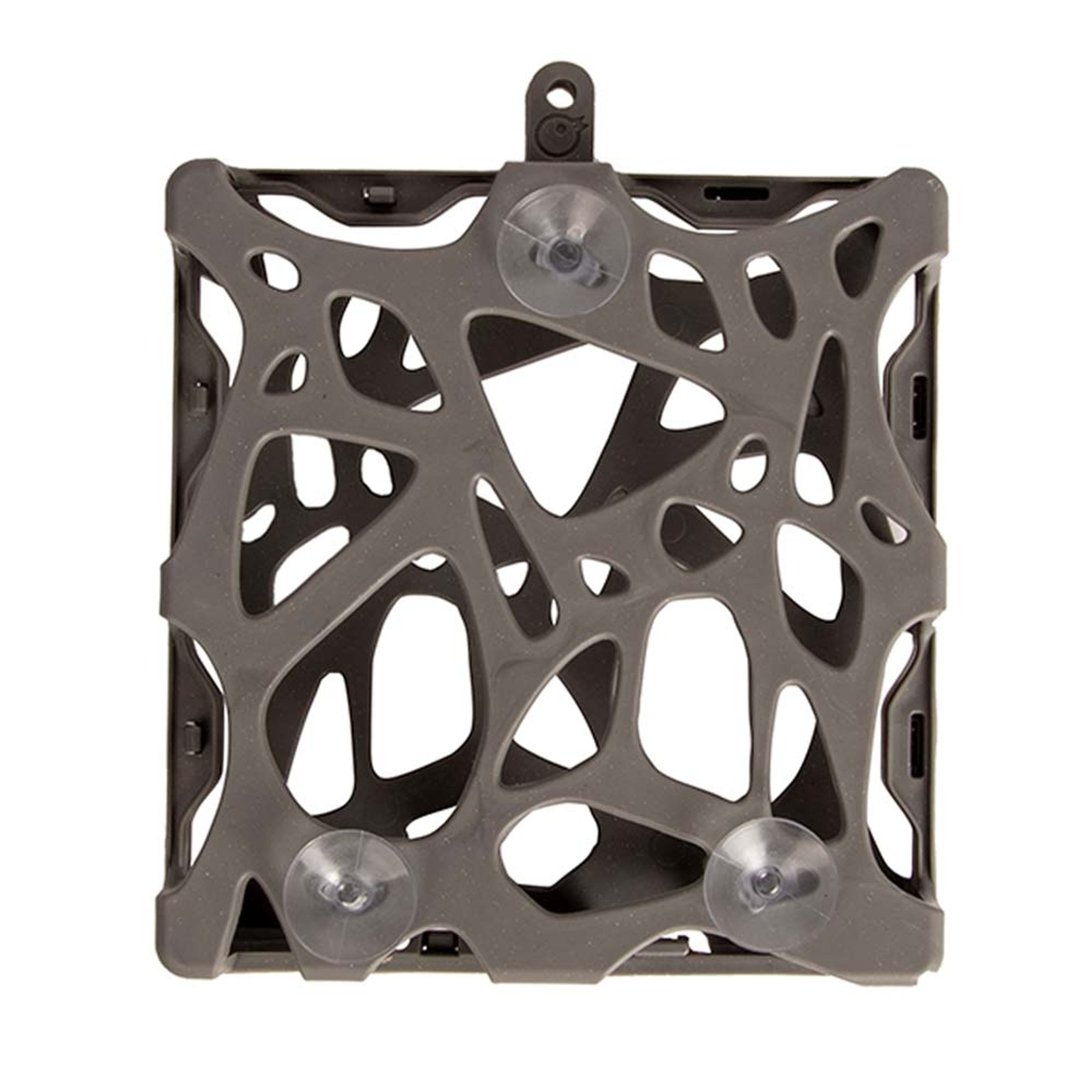 SingingFriend Fenster-Energieblockhalter „Anna“ | Vogelfutter | SingingFriend