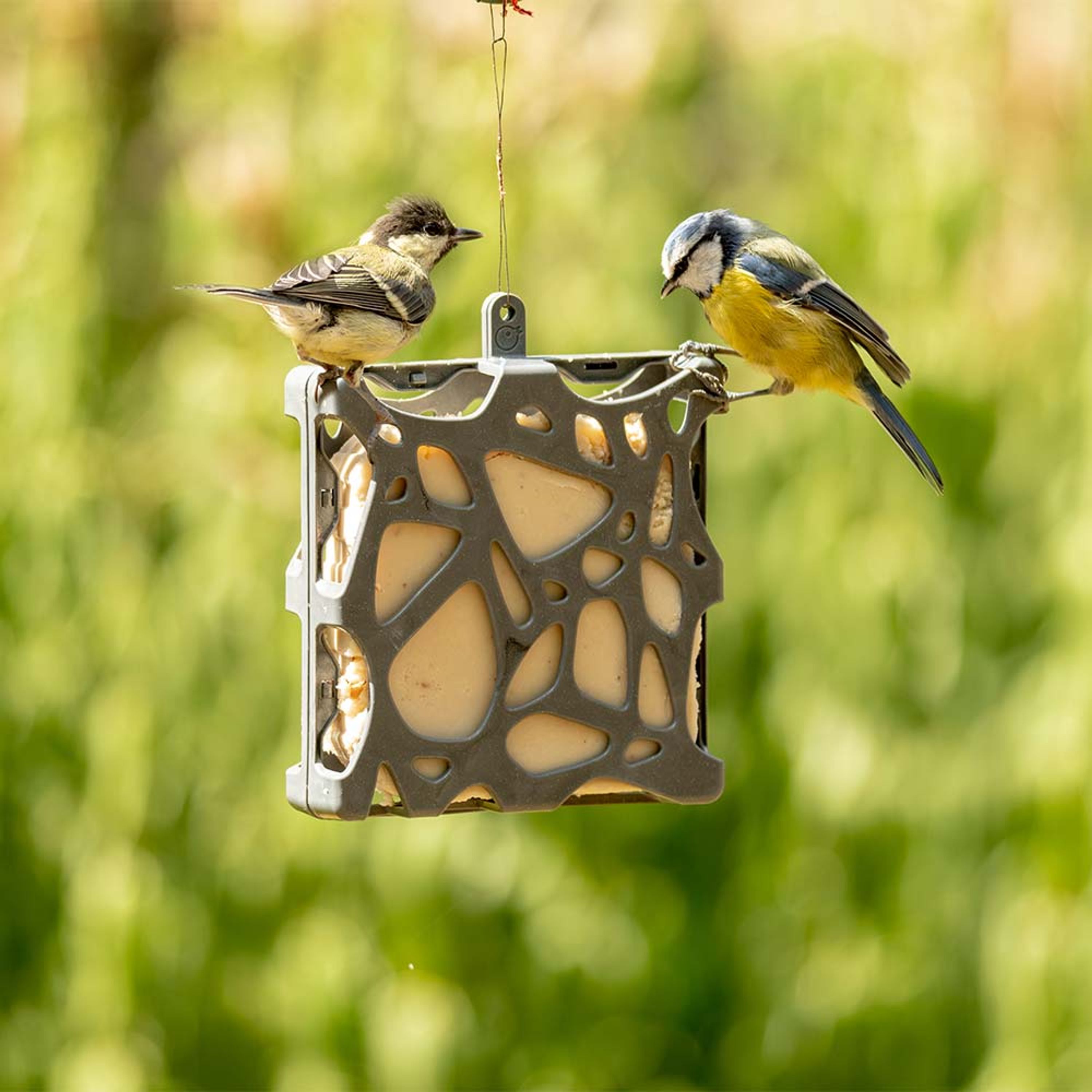 National Trust Anna Suet Block Feeder - 100% recycled
