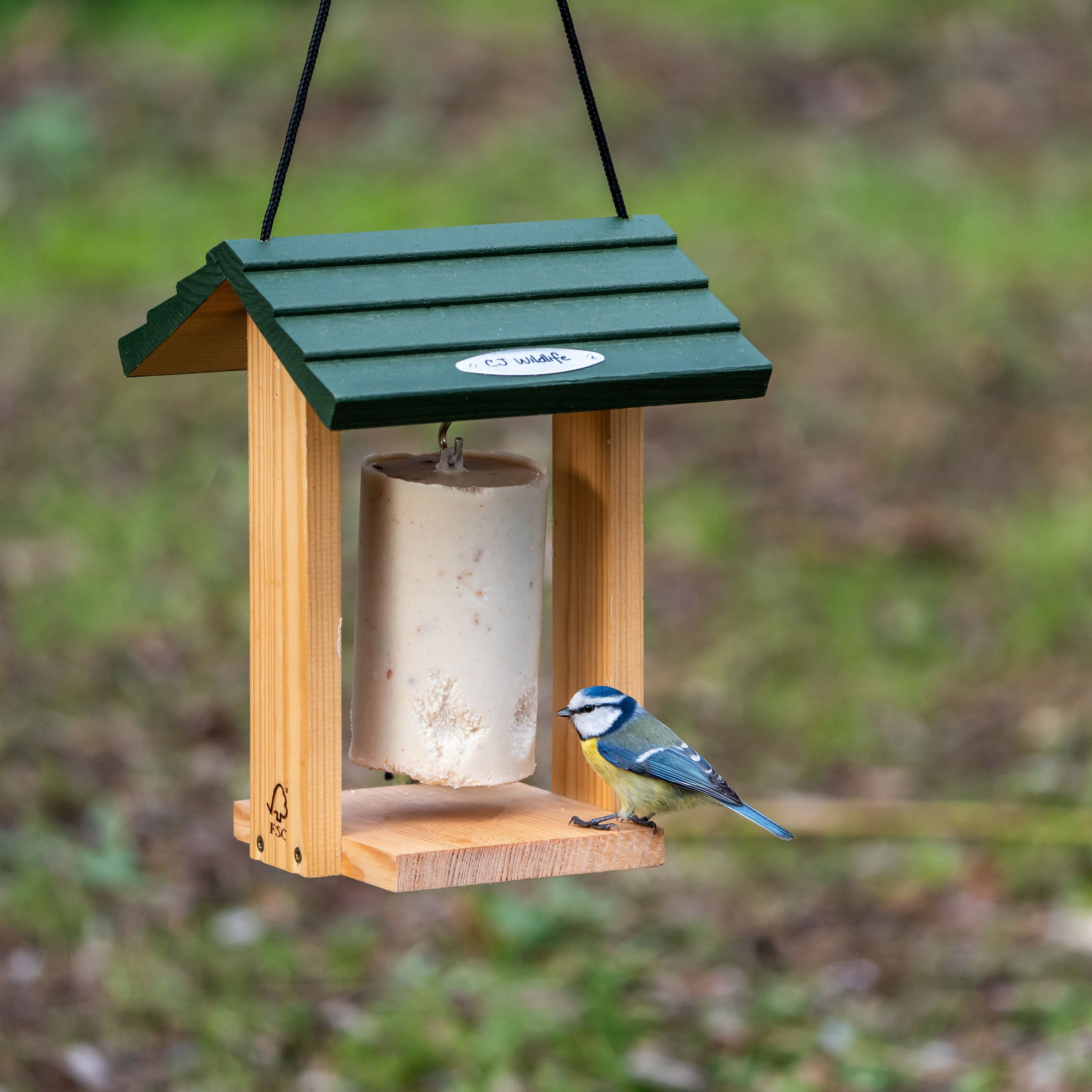 Energiekuchen-Halter Cervina | CJ Wildlife – CJ Wildlife