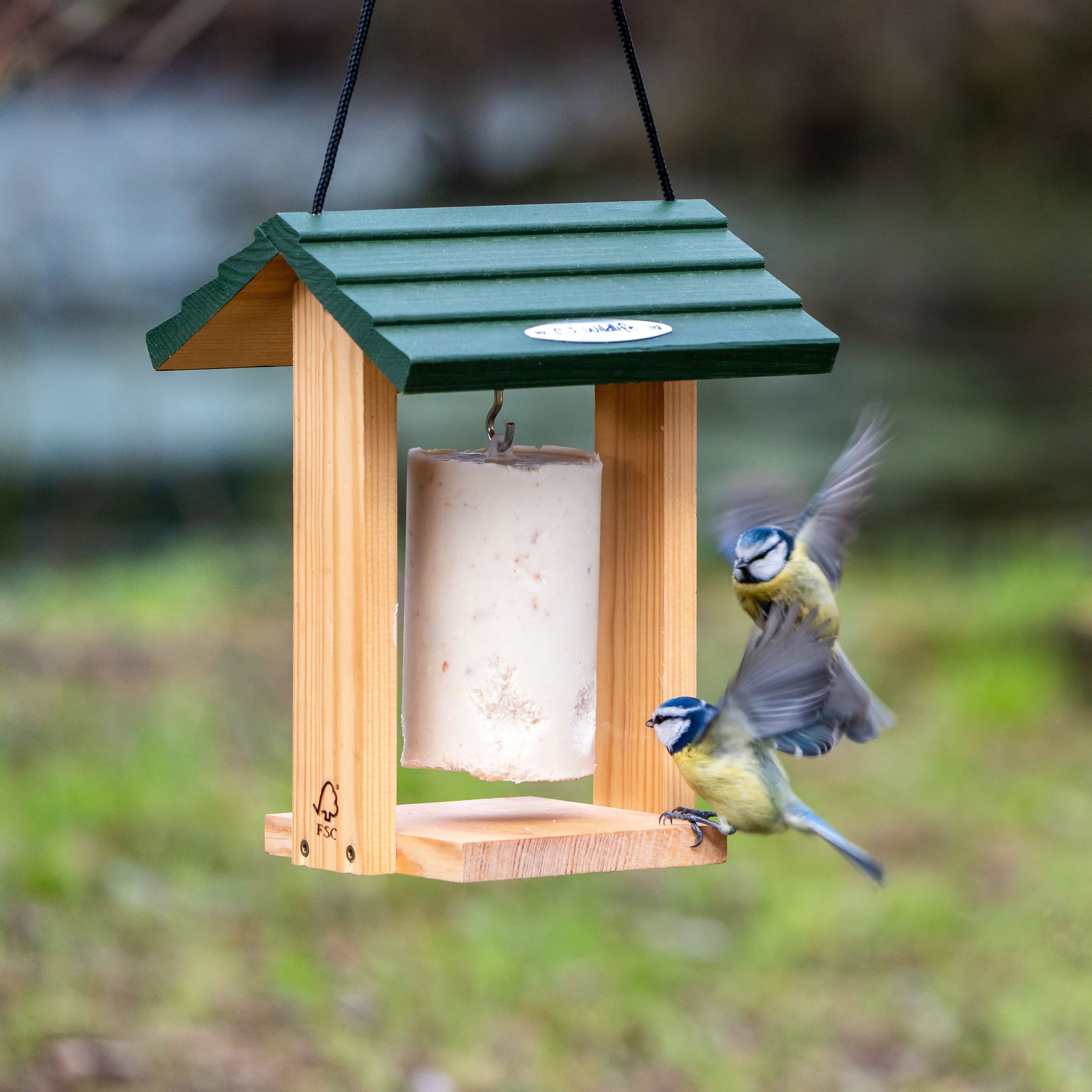 Energiekuchen-Halter Cervina | CJ Wildlife