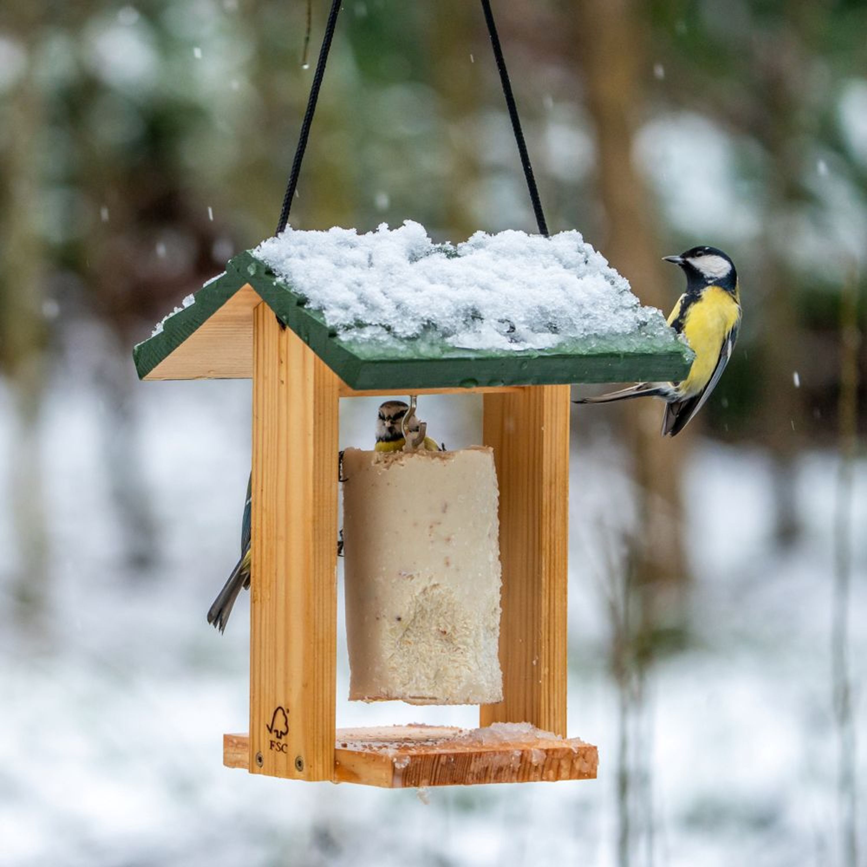 Energiekuchen-Halter Cervina | CJ Wildlife