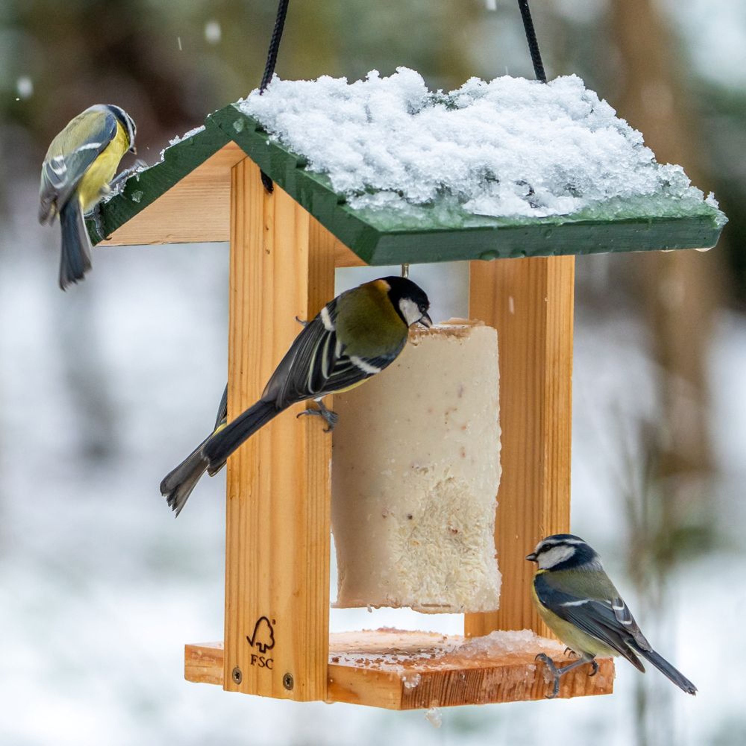 Energiekuchen-Halter Cervina | CJ Wildlife