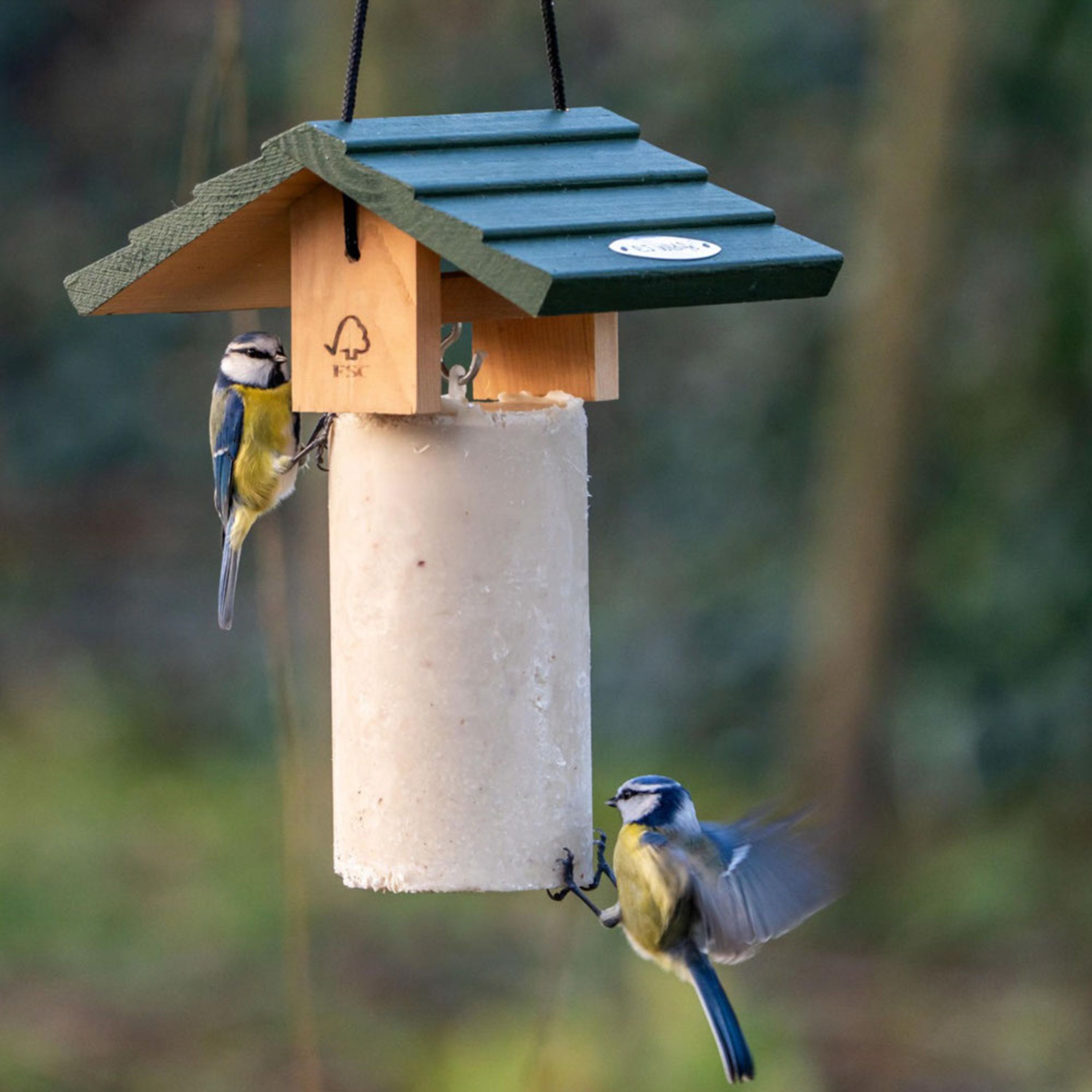 Meilleurs prix pour Mangeoire pour cake Claviere | CJ Wildlife