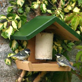Combihouse Suet & Seed Bird Feeder