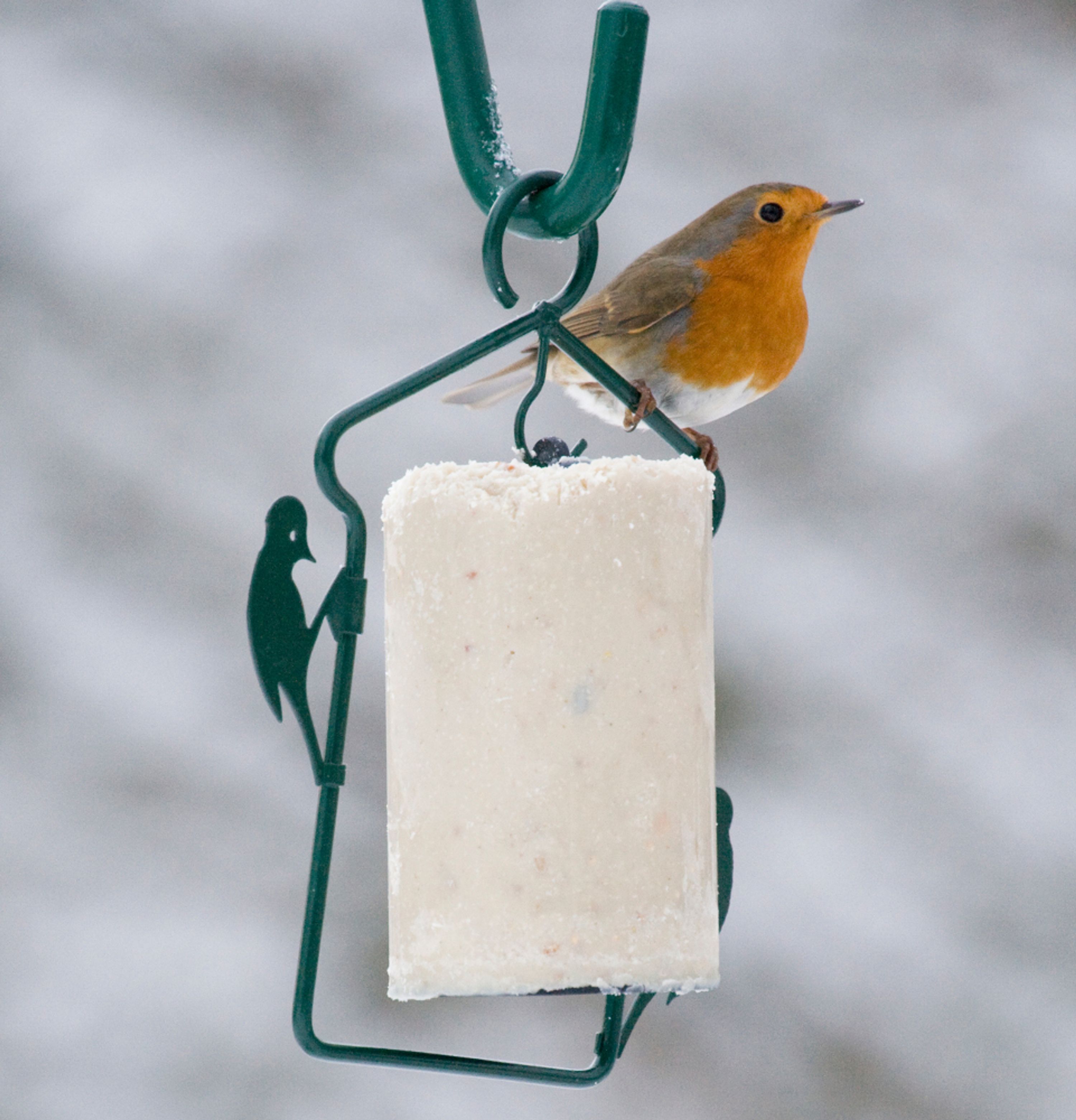 Aufhängung für Energiekuchen 500 ml | CJ Wildlife